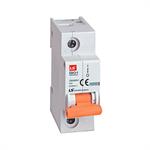 MCB LS 1P 80A 10kA ( BKH )